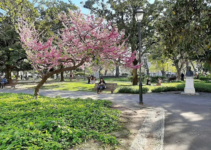 Charming Equipped Ac Lift Parking 4p *